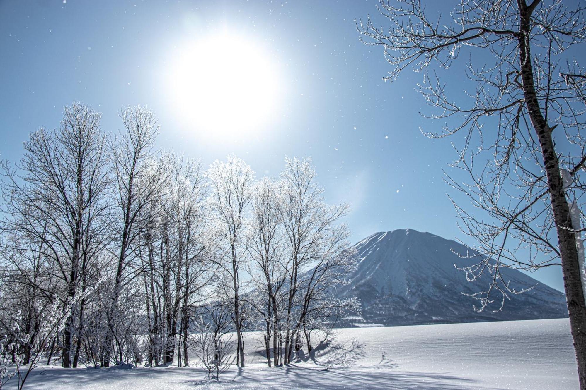 Pension Berg Niseko Ngoại thất bức ảnh